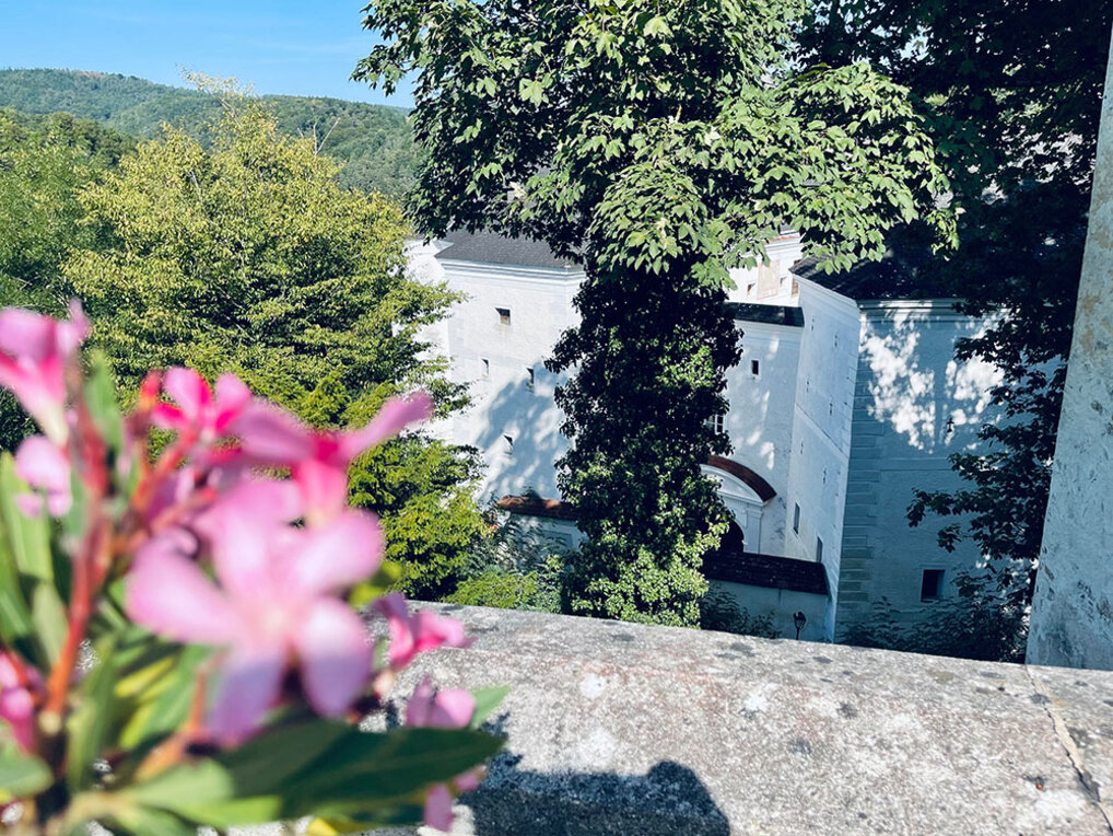 Ausblick auf das Schloss Leiben und umliegende Wälder